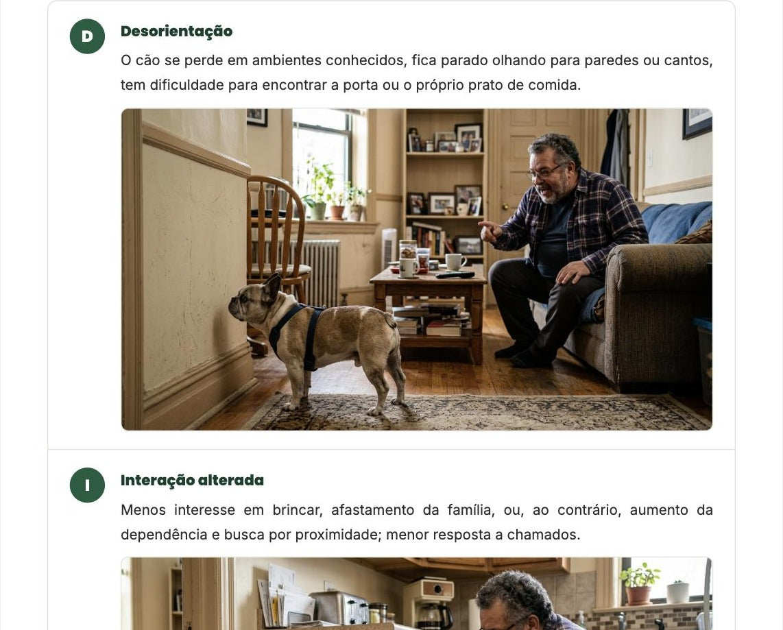 Página ilustrada do Capítulo 8