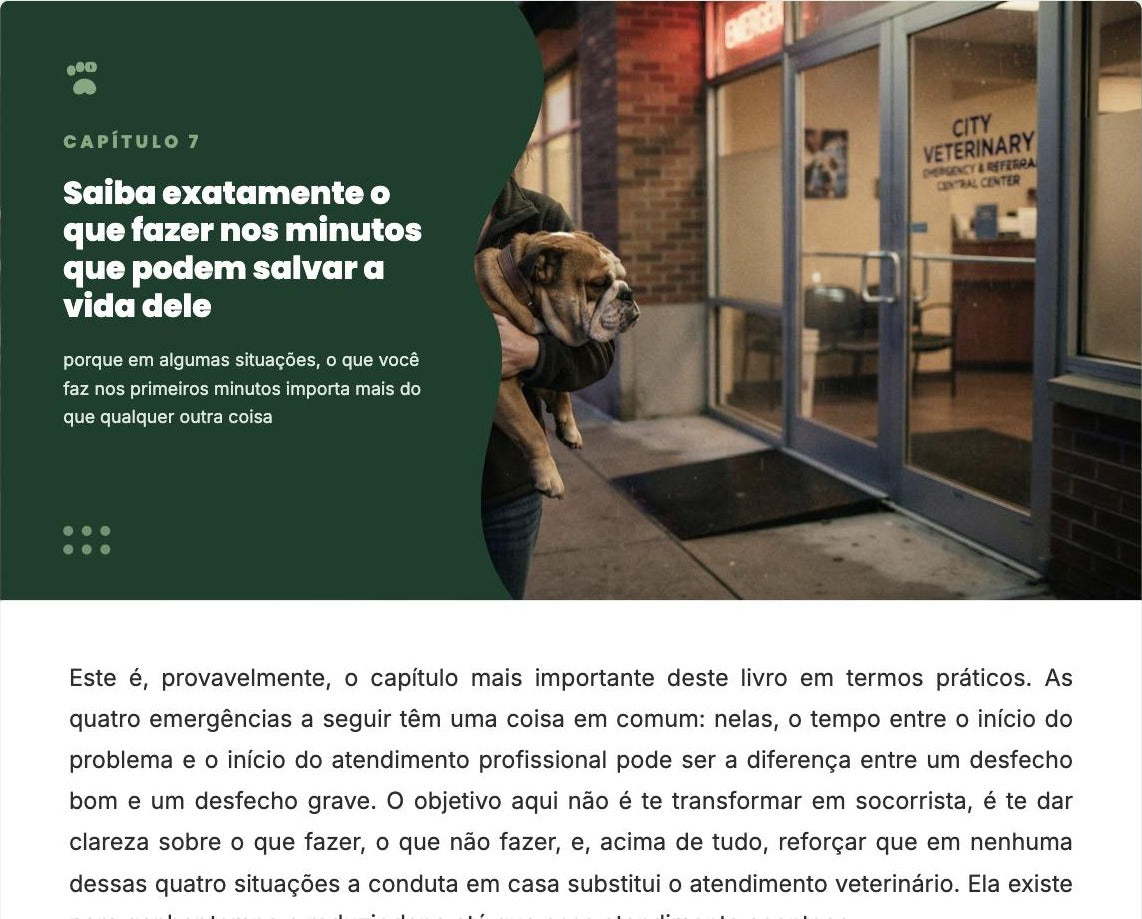 Abertura do Capítulo 7 - Emergências