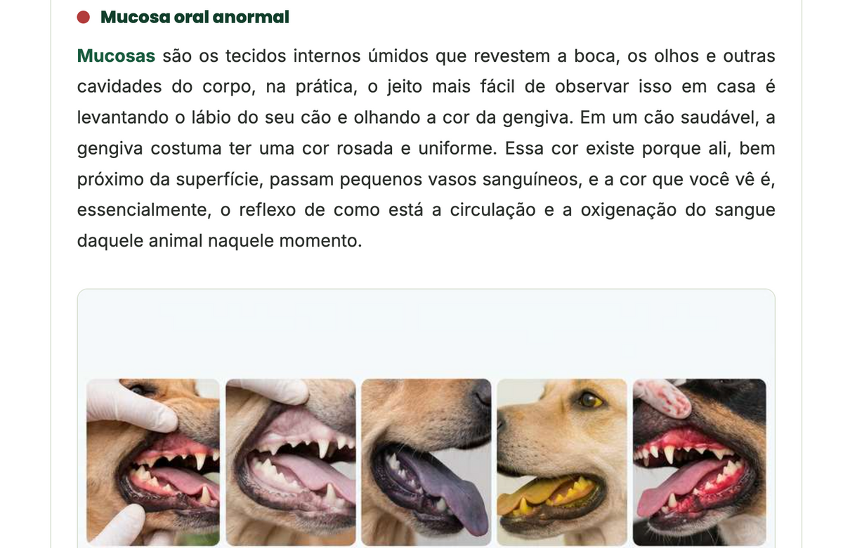 Guia Completo do Tutor de Cães- O Que a Consulta Não Teve Tempo de Explicar