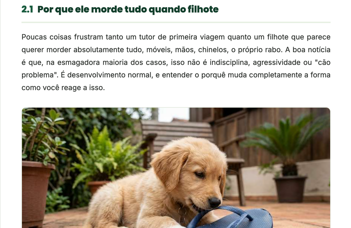Guia Completo do Tutor de Cães- O Que a Consulta Não Teve Tempo de Explicar
