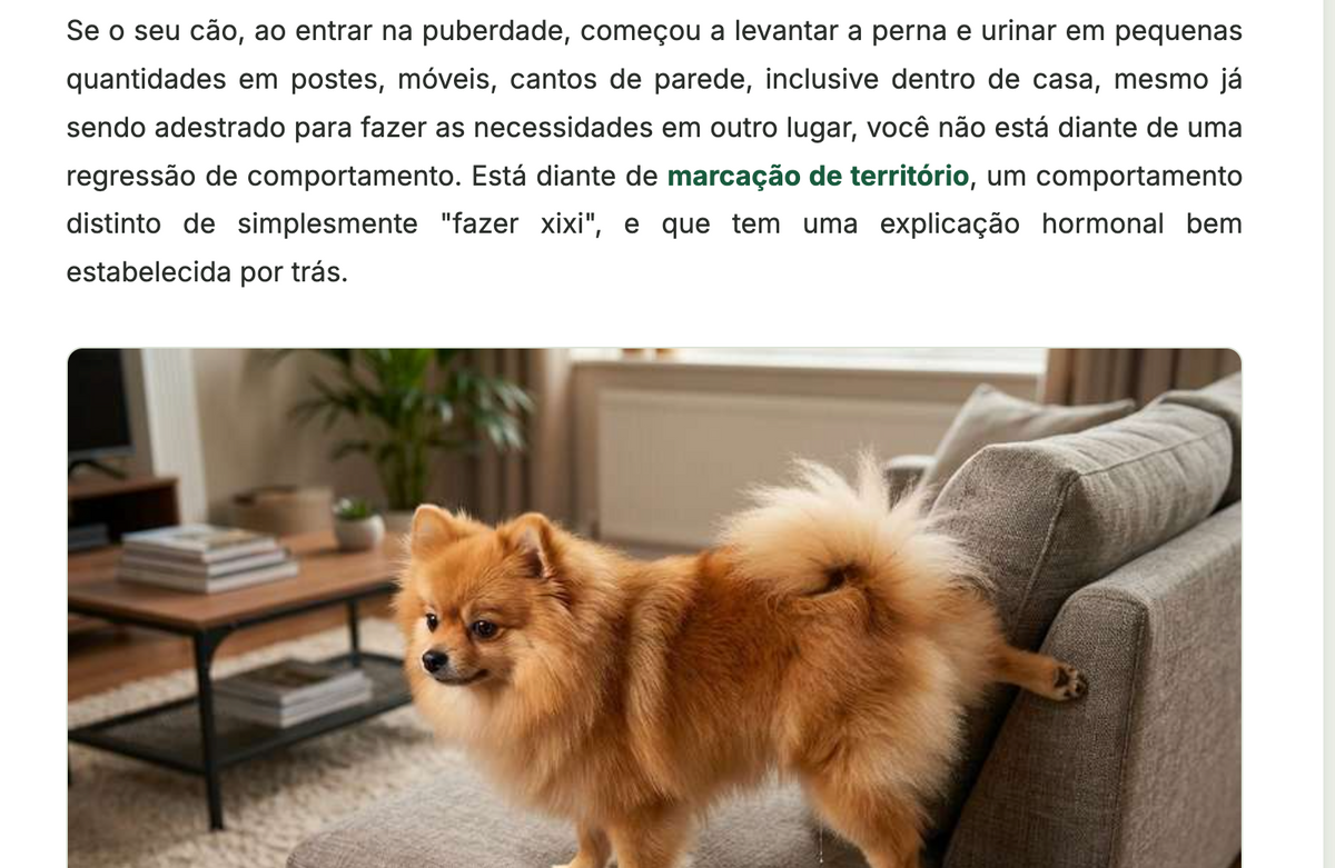 Guia Completo do Tutor de Cães- O Que a Consulta Não Teve Tempo de Explicar