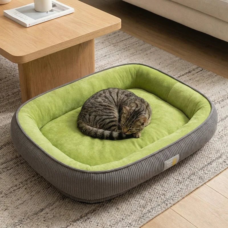 Gato dormindo na Cama Pet Todas as Estações Petzoo